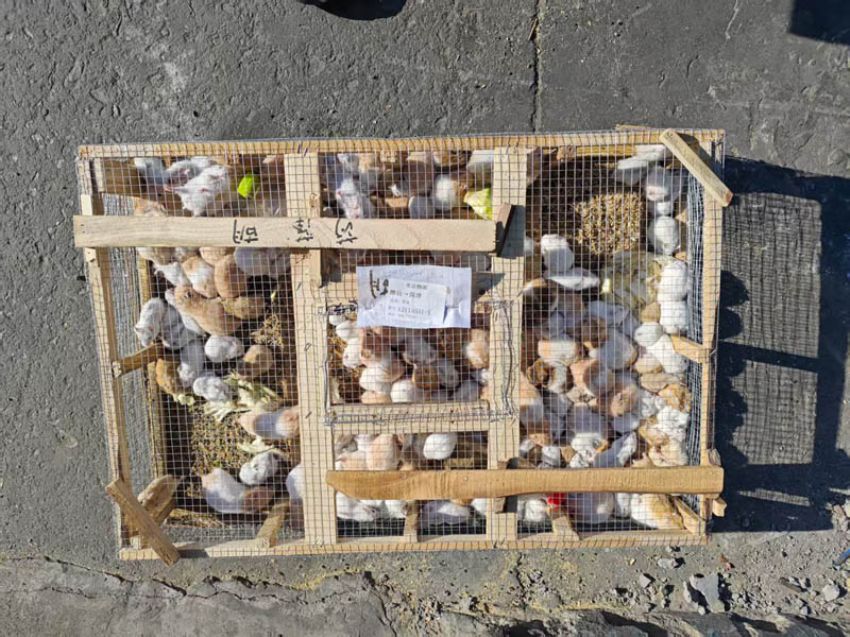 點擊查看詳細信息<br>標題：發(fā)貨現(xiàn)場 閱讀次數(shù)：0